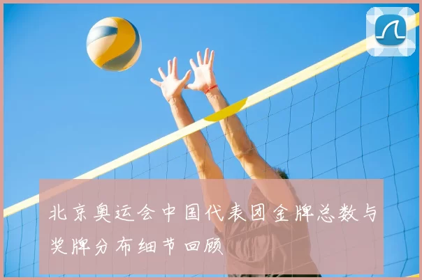 北京奥运会中国代表团金牌总数与奖牌分布细节回顾