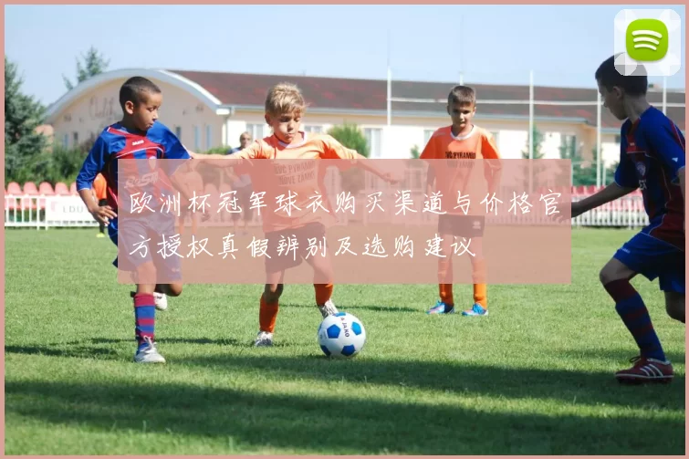 欧洲杯冠军球衣购买渠道与价格官方授权真假辨别及选购建议